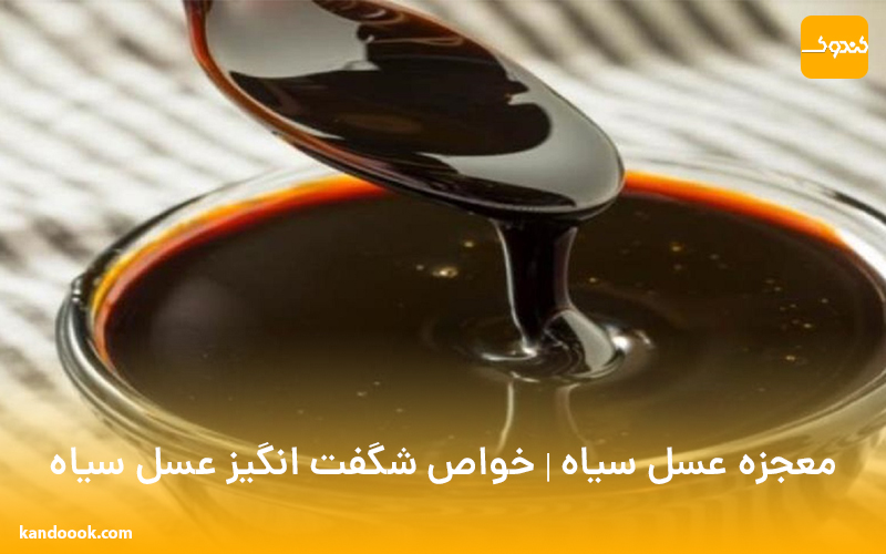 معجزه عسل سیاه | خواص شگفت انگیز عسل سیاه