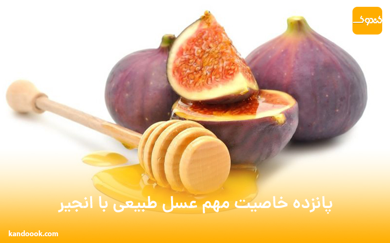 15 خاصیت مهم عسل طبیعی با انجیر