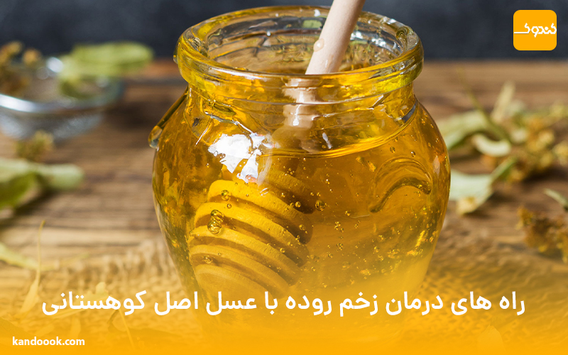 راه های درمان زخم روده با عسل اصل کوهستانی