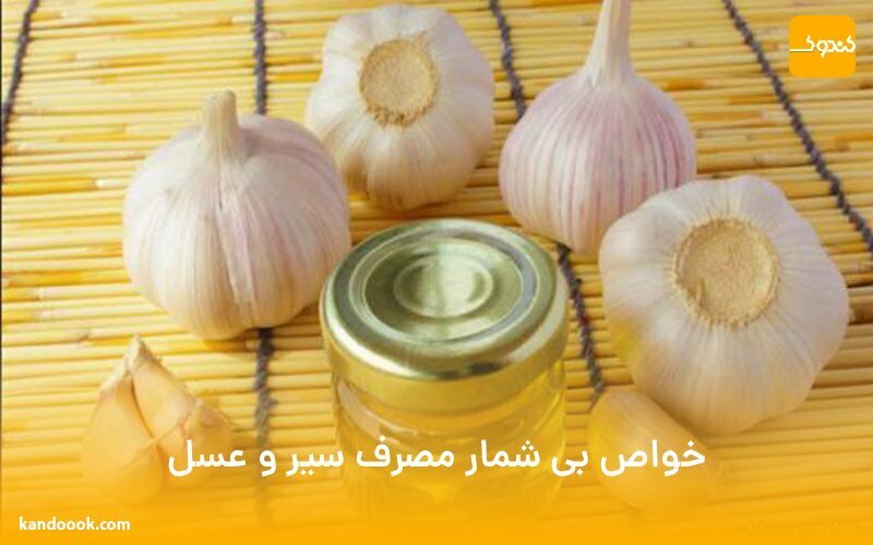 مصرف سیر و عسل | خواص بی شماری که نمی دانستید!