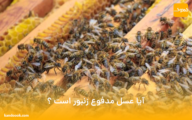 آیا عسل مدفوع زنبور است ؟