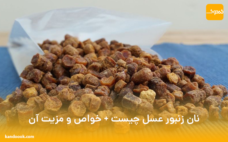 نان زنبور عسل چیست + خواص و مزیت آن