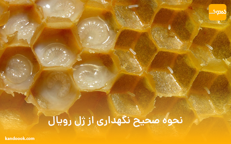 نحوه نگهداری از ژل رویال