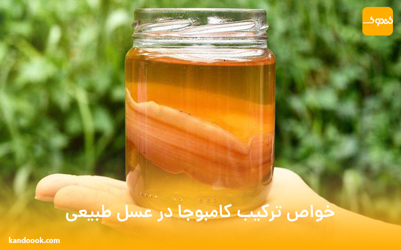 خواص ترکیب کامبوجا در عسل طبیعی