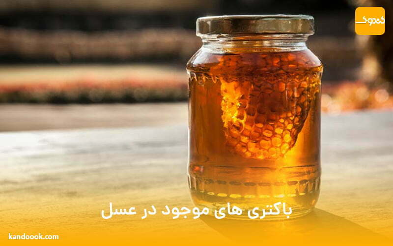 باکتری های موجود در عسل