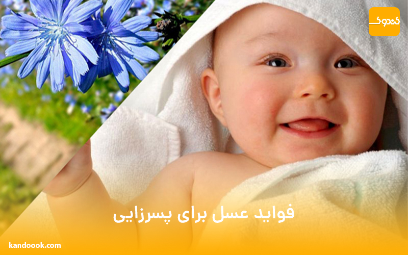 فواید عسل برای پسرزایی