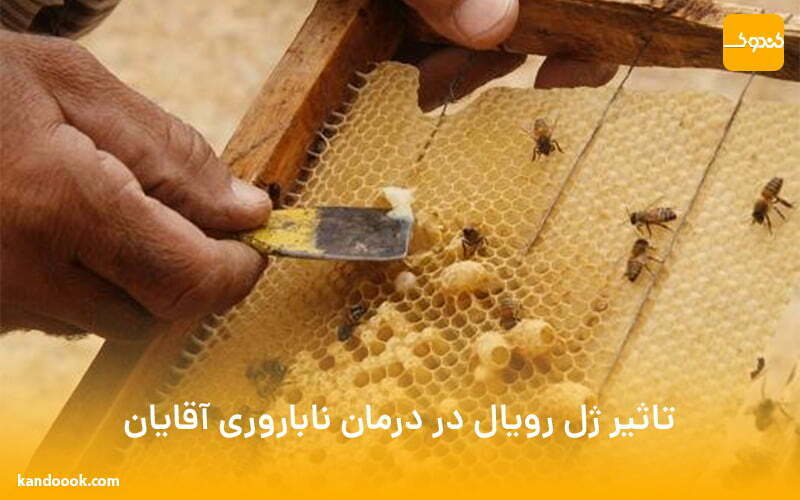 تاثیر ژل رویال در درمان ناباروری آقایان