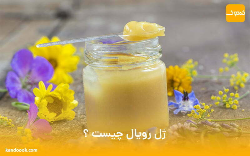 ژل رویال چیست ؟