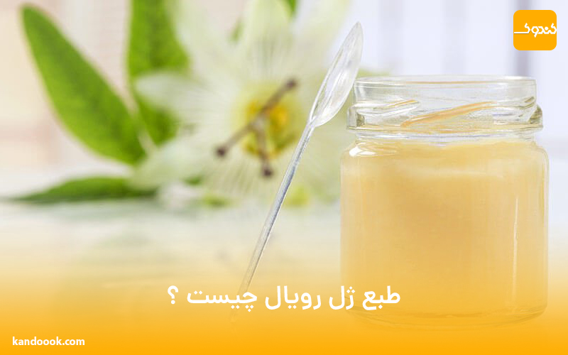 طبع ژل رویال چیست ؟