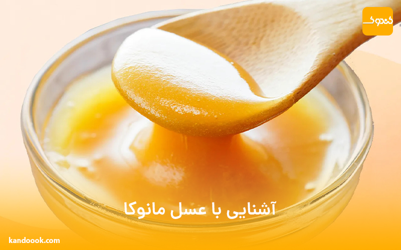 آشنایی با عسل مانوکا