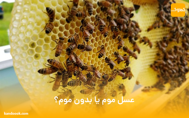 عسل موم یا بدون موم؟!