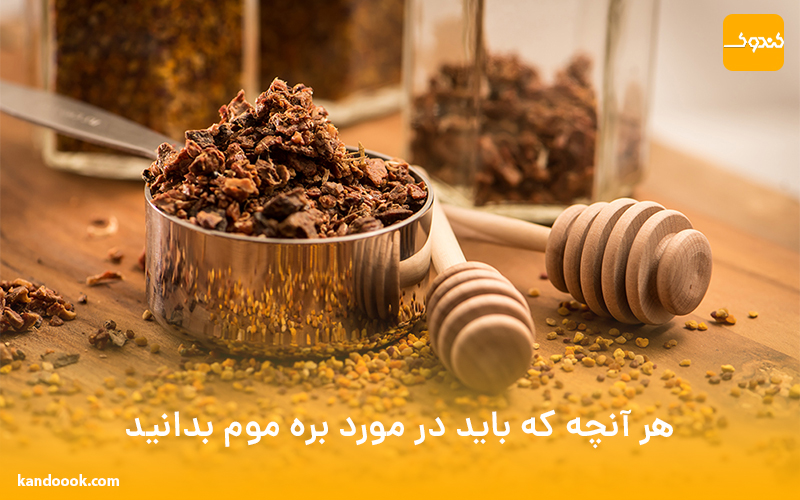 هر آنچه که باید در مورد بره موم بدانید
