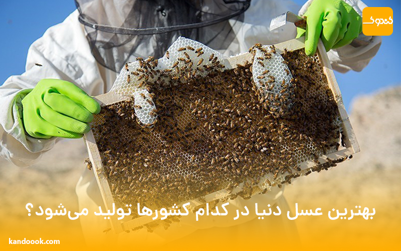 بهترین عسل دنیا در کدام کشورها تولید می‌شود؟