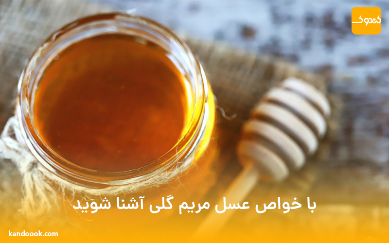 با خواص عسل مریم گلی آشنا شوید