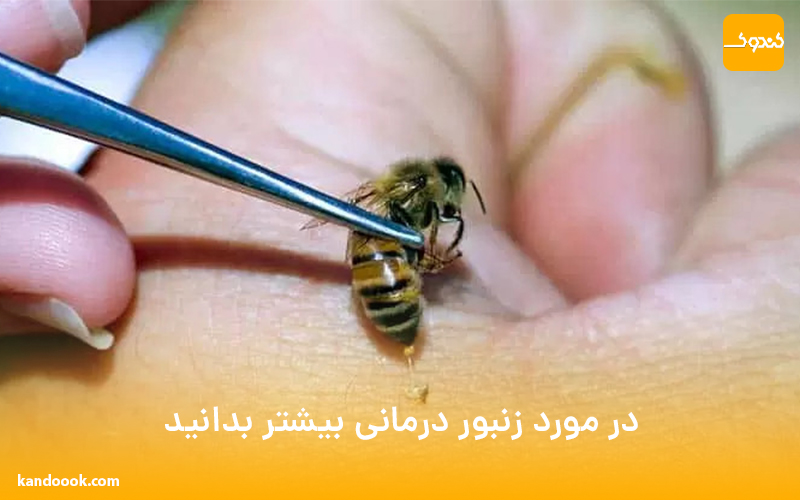 در مورد زنبور درمانی بیشتر بدانید