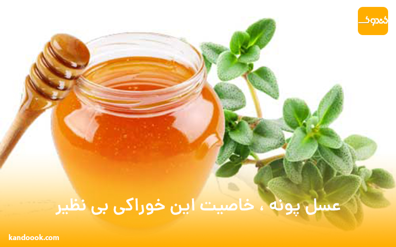 عسل پونه ، خاصیت این خوراکی بی نظیر