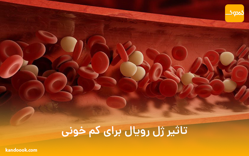 تاثیر ژل رویال برای کم خونی