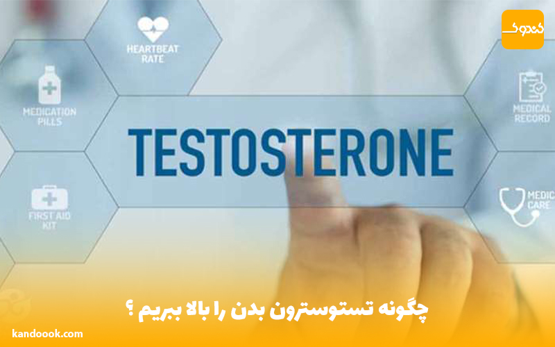 چگونه تستوسترون بدن را بالا ببریم ؟