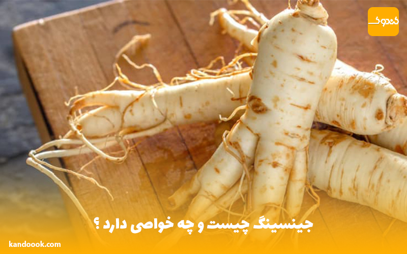 جینسینگ چیست و چه خواصی دارد ؟
