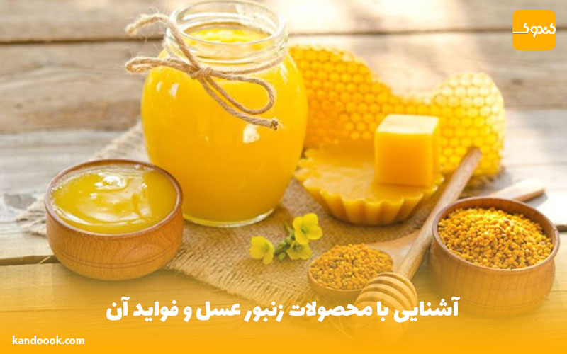 آشنایی با محصولات زنبور عسل و فواید آن