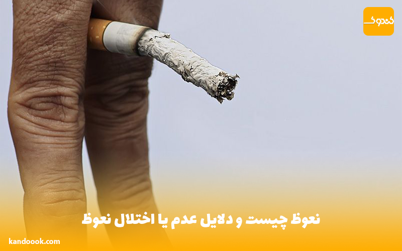 نعوظ چیست و دلایل عدم یا اختلال نعوظ
