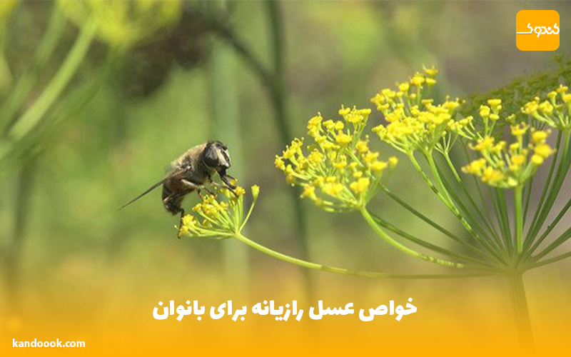 خواص عسل رازیانه برای بانوان