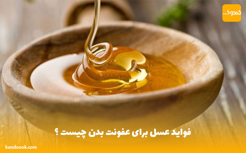فواید عسل برای عفونت بدن چیست ؟