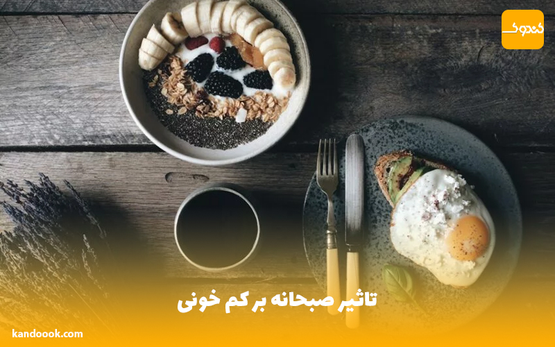 تاثیر صبحانه بر کم خونی