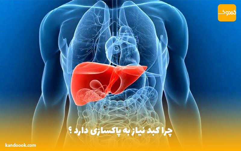 چرا کبد نیاز به پاکسازی دارد ؟