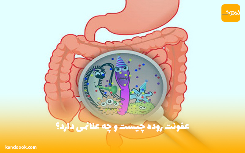عفونت روده چیست و چه علائمی دارد؟