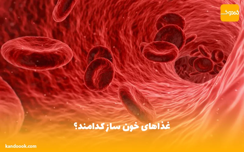 غذاهای خون ساز کدامند؟
