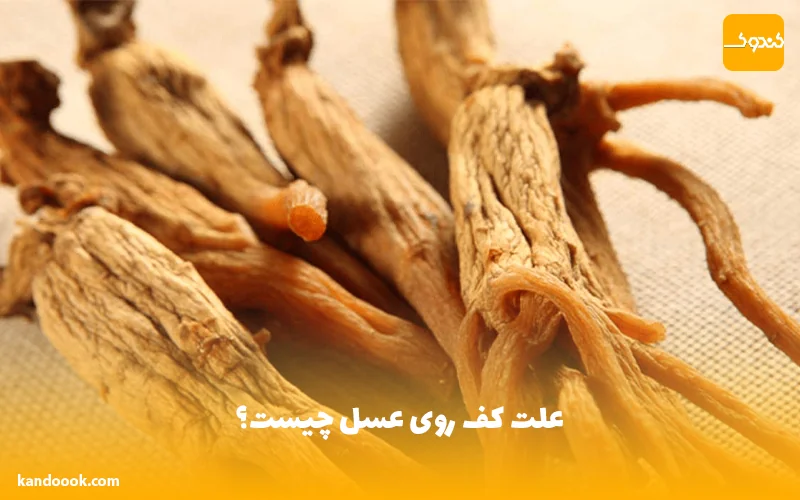 خواص جنسینگ برای مردان چیست ؟