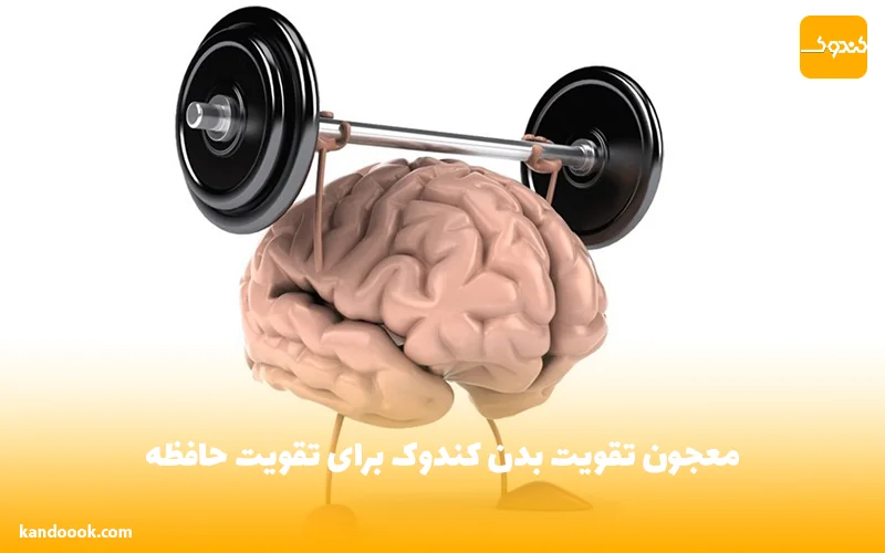 معجون تقویت بدن کندوک برای تقویت حافظه