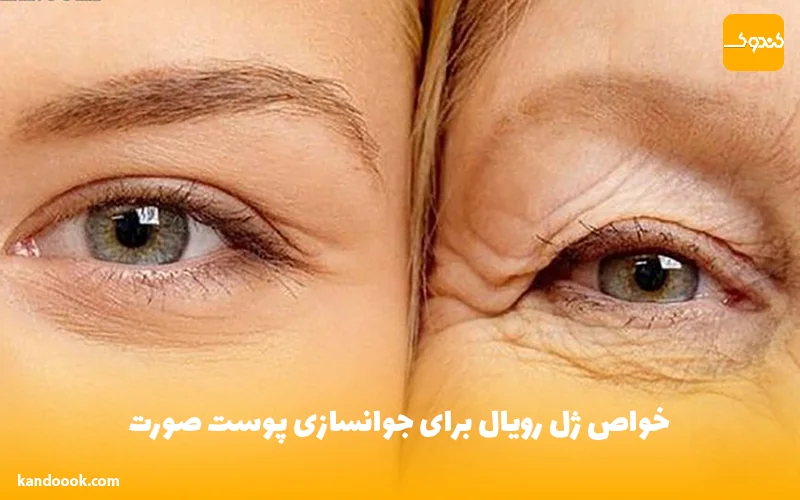خواص ژل رویال برای جوانسازی پوست صورت