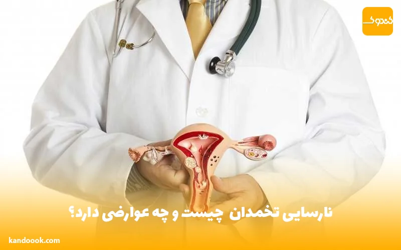 نارسایی تخمدان POF چیست و چه عوارضی دارد؟