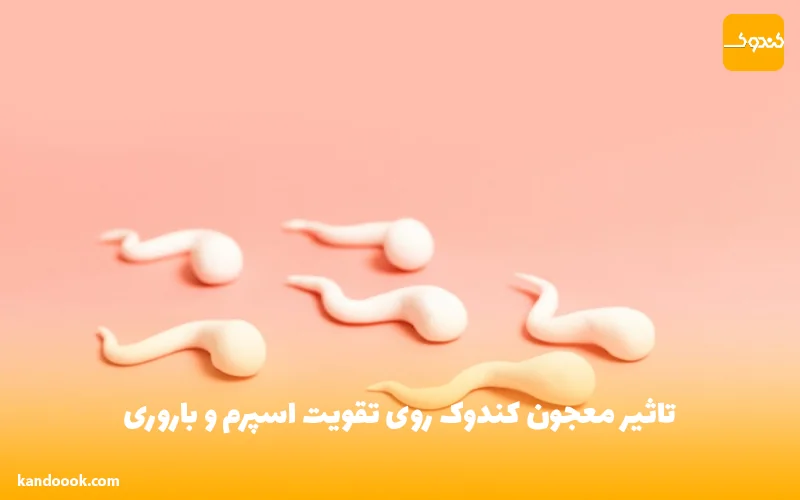 تاثیر معجون کندوک روی تقویت اسپرم و باروری
