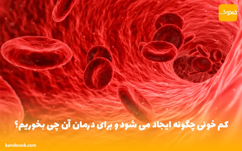 کم خونی چگونه ایجاد می شود و برای درمان آن چی بخوریم؟