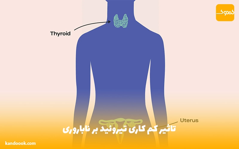 تاثیر کم کاری تیروئید بر ناباروری