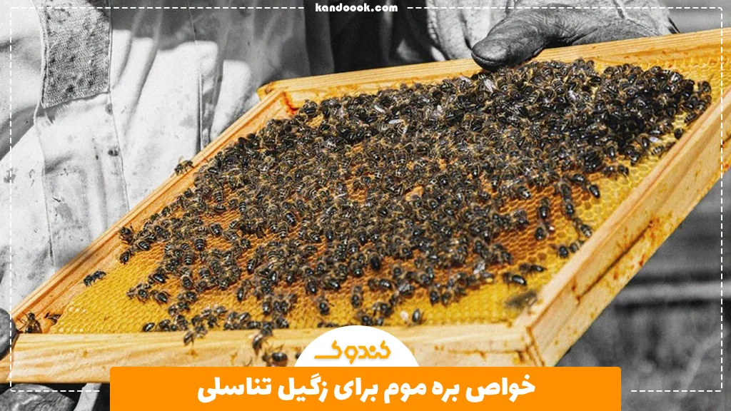 خواص بره موم برای زگیل تناسلی