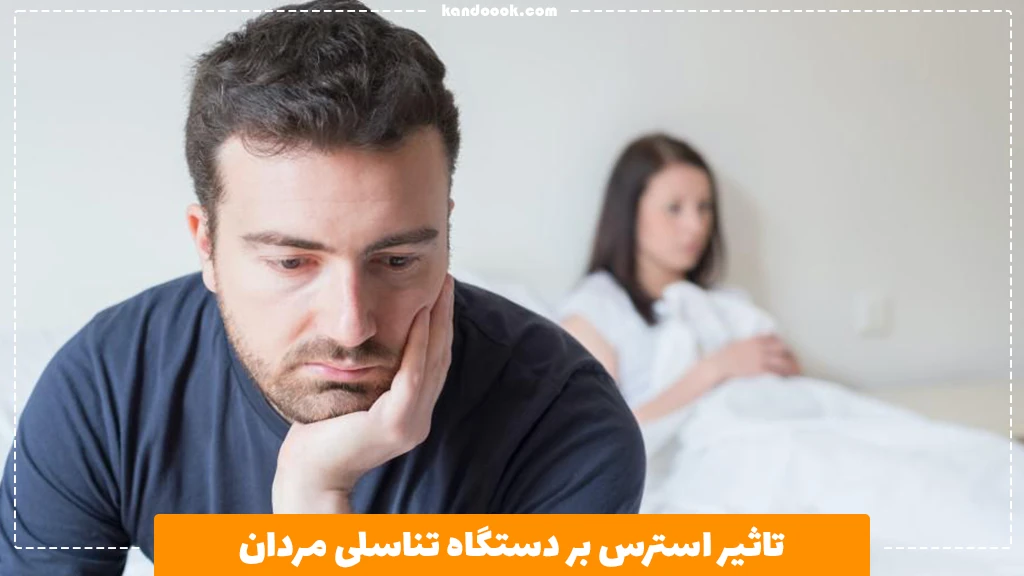 تاثیر استرس بر دستگاه تناسلی مردان