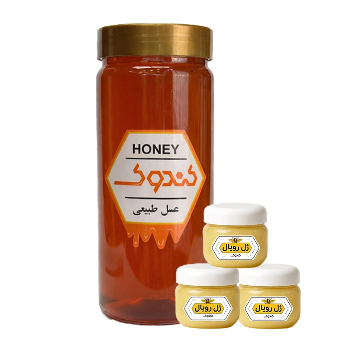ترکیب 60 گرم ژل رویال و یک کیلو عسل کنار تصویر ترکیب 60 گرم ژل رویال و یک کیلو عسل کنار
