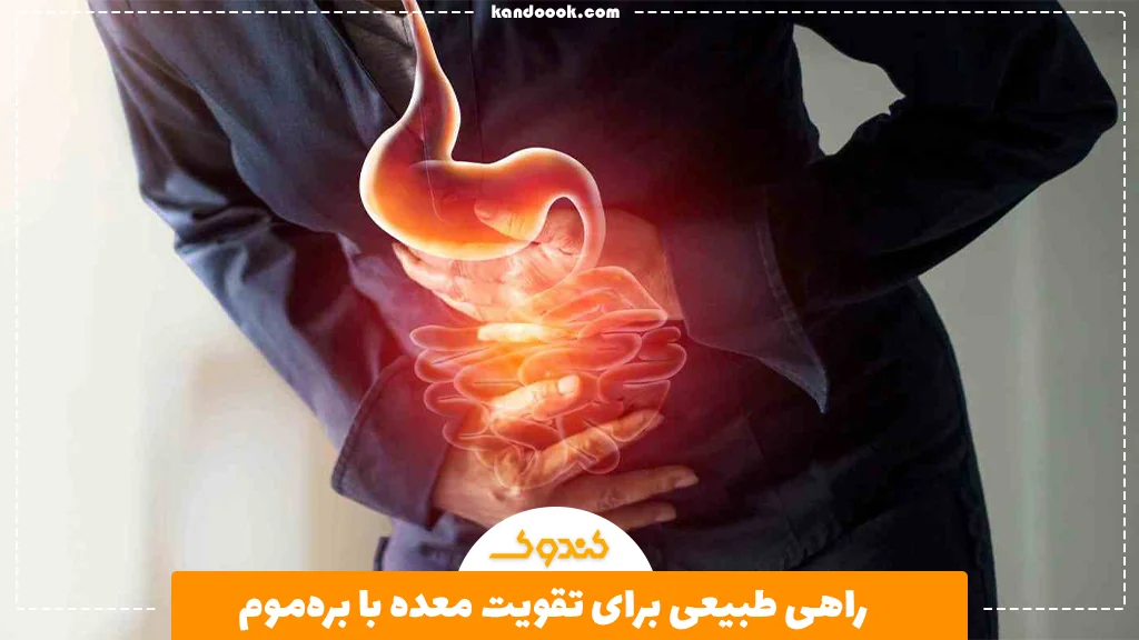 راهی طبیعی برای تقویت معده با بره‌موم