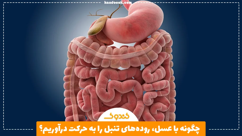 چگونه با عسل، روده‌های تنبل را به حرکت درآوریم؟