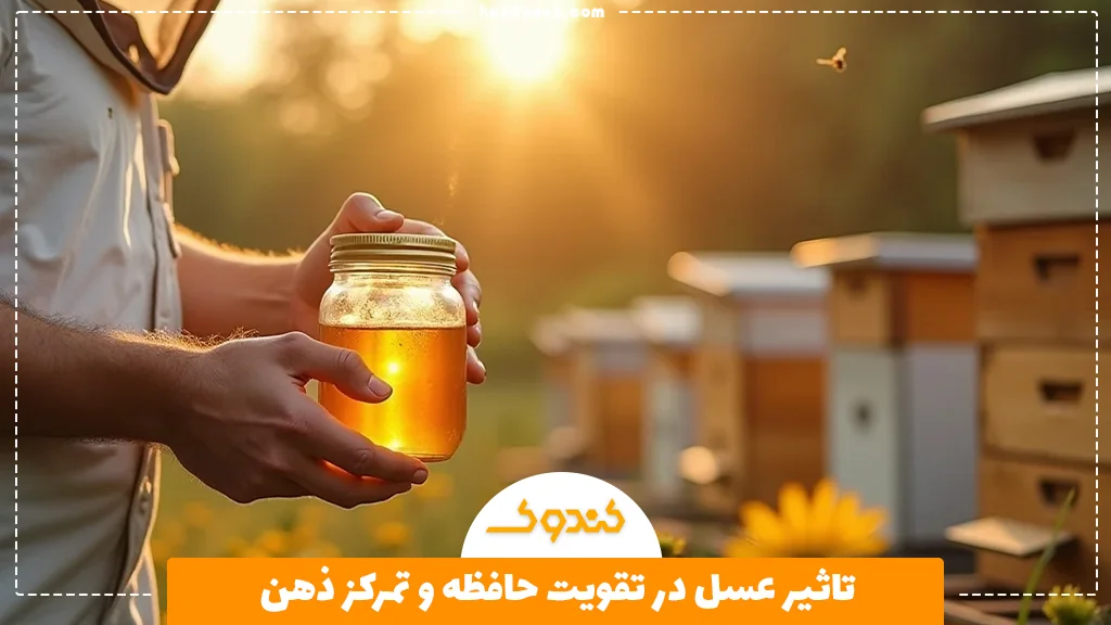 تاثیر عسل در تقویت حافظه و تمرکز ذهن
