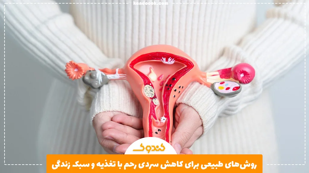 روش‌های طبیعی برای کاهش سردی رحم با تغذیه و سبک زندگی