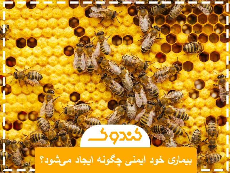 بیماری خود ایمنی چگونه ایجاد میشود؟