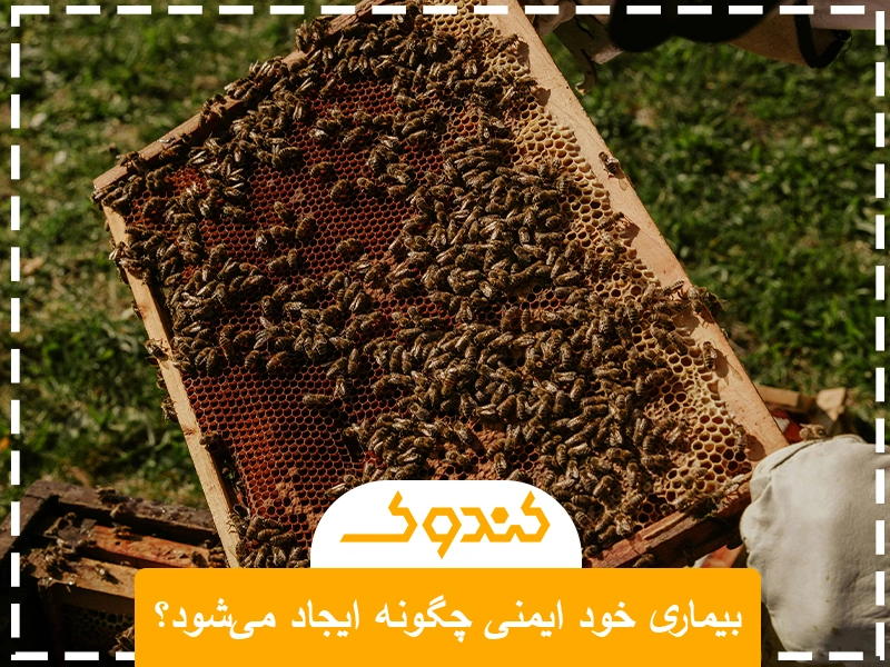 بیماری خود ایمنی چگونه ایجاد میشود؟