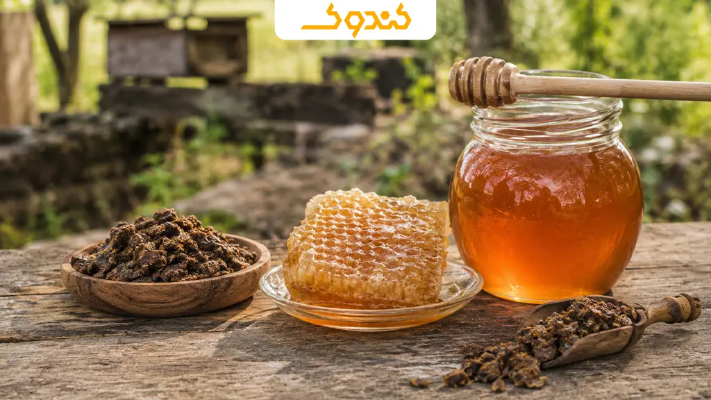 بهترین گرمی برای بدن چیست؟