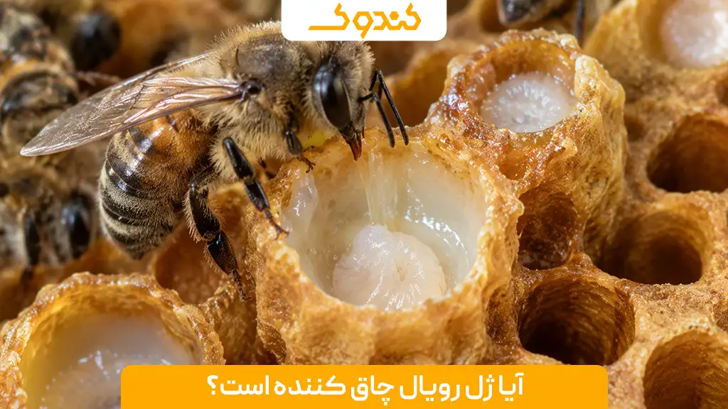 آیا ژل رویال چاق کننده است؟