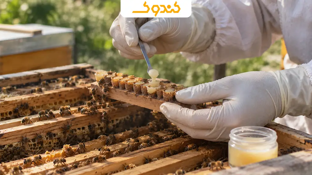 آیا ژل رویال چاق کننده است؟